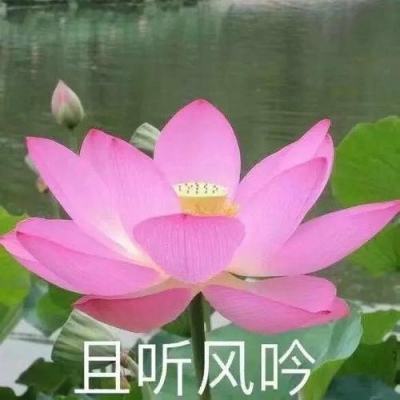 深圳新增2例本土无症状感染者 为夫妻